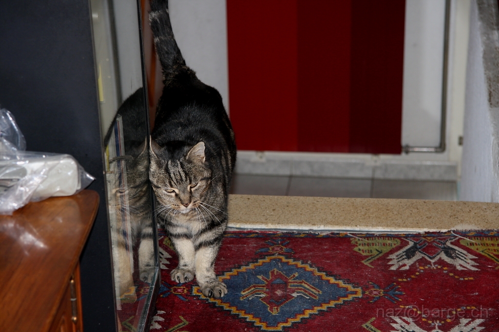 D40_2008_12_28_0204.JPG - non non ce meuble ne tombera pas