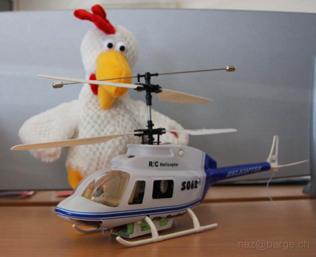 helicoq.JPG