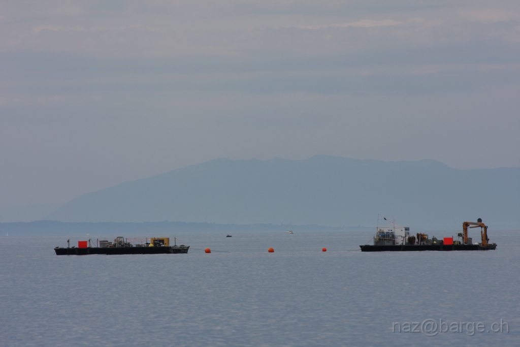 img_0054.jpg - copyright naz 2009