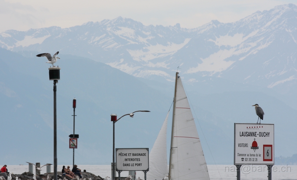 img_0073.jpg - copyright naz 2009