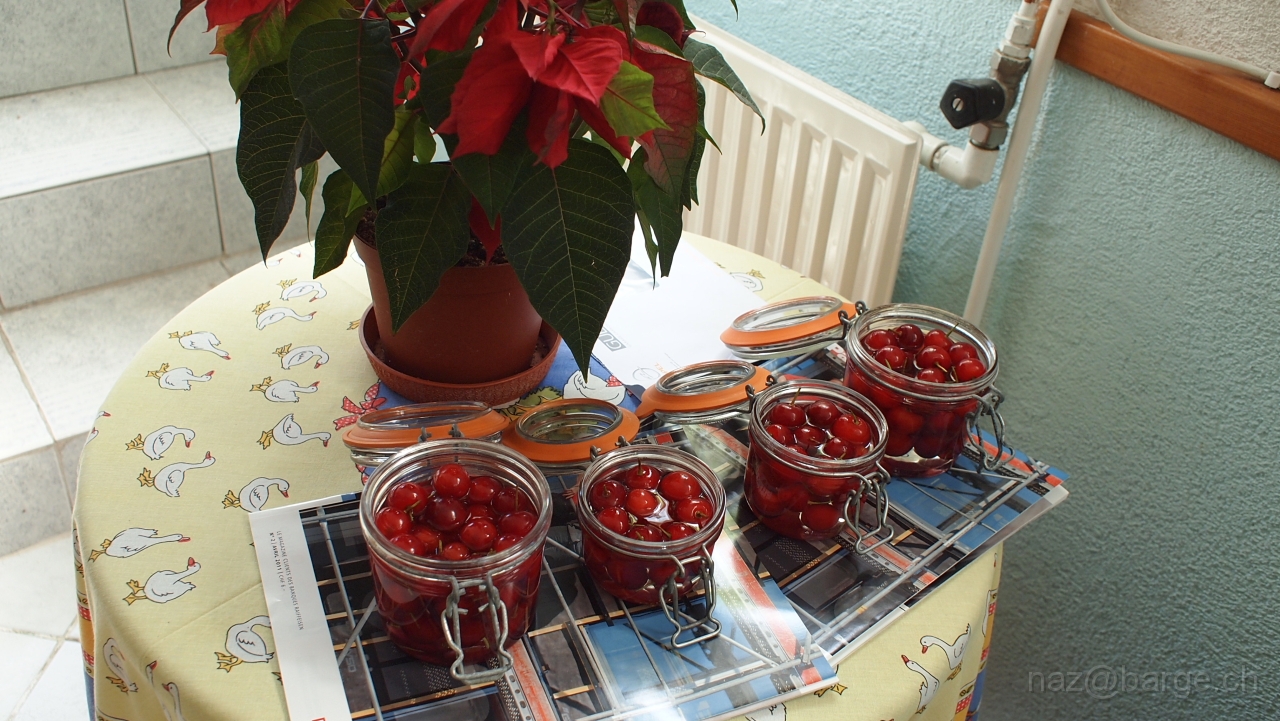 P7100461.JPG - OLYMPUS DIGITAL CAMERA         