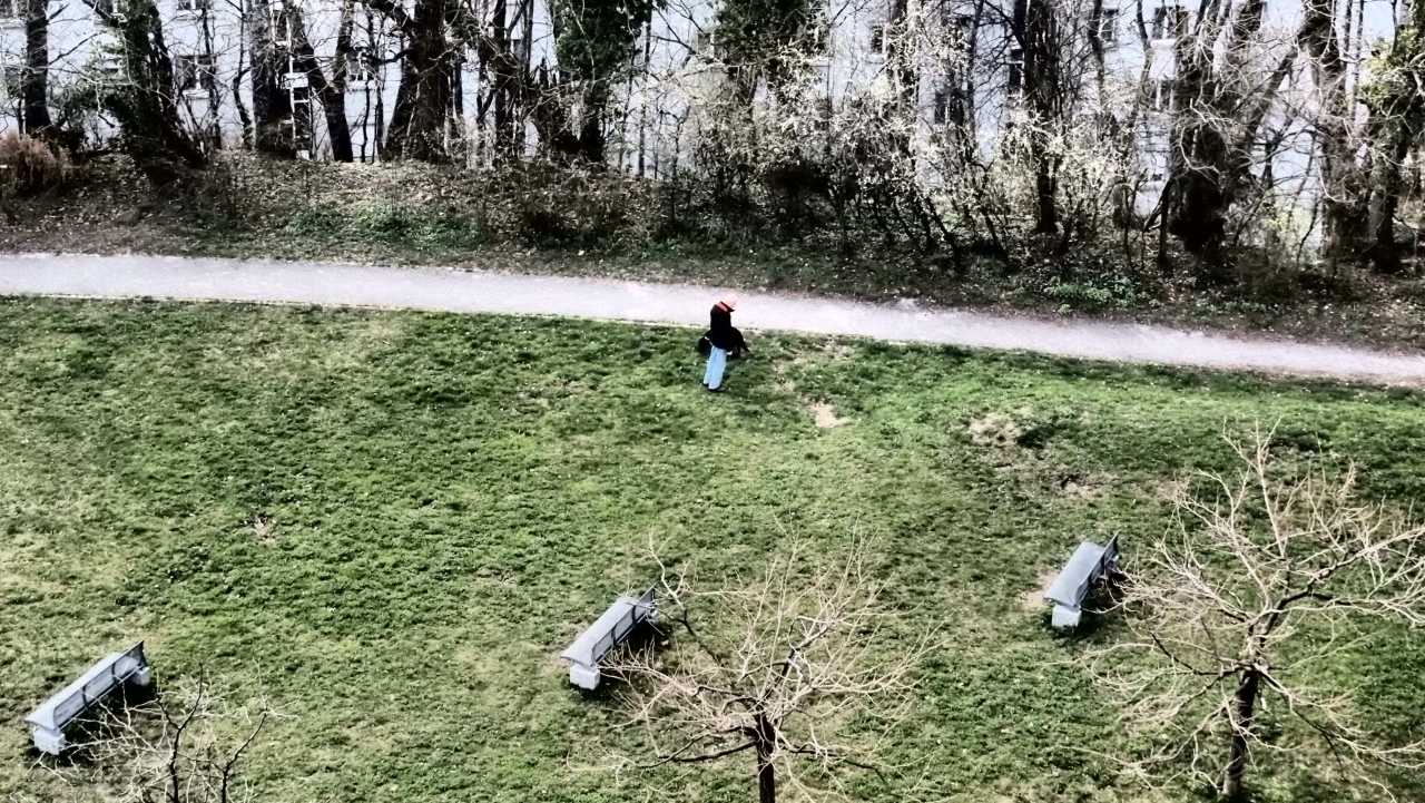 p3280112.JPG - OLYMPUS DIGITAL CAMERA         