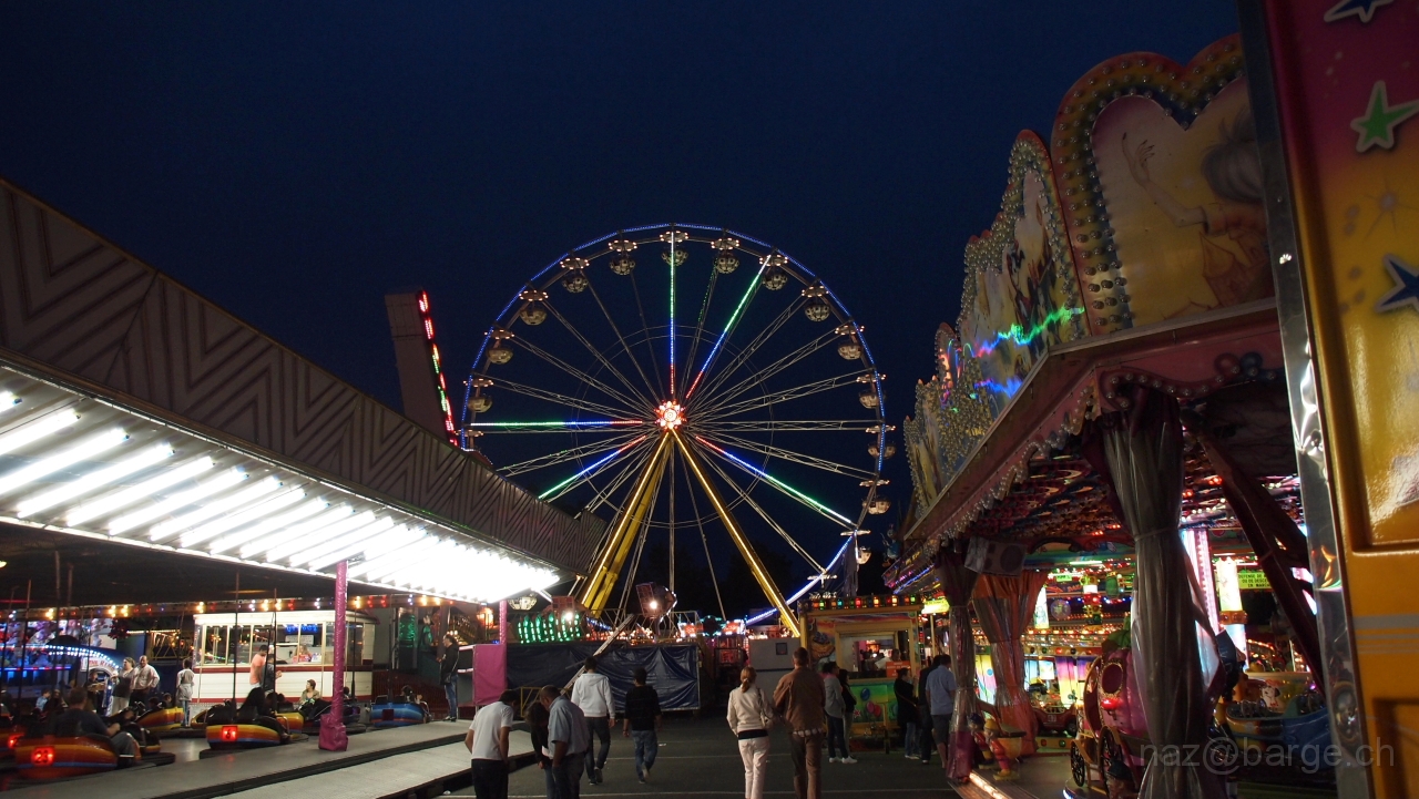 P6120395.JPG - OLYMPUS DIGITAL CAMERA         