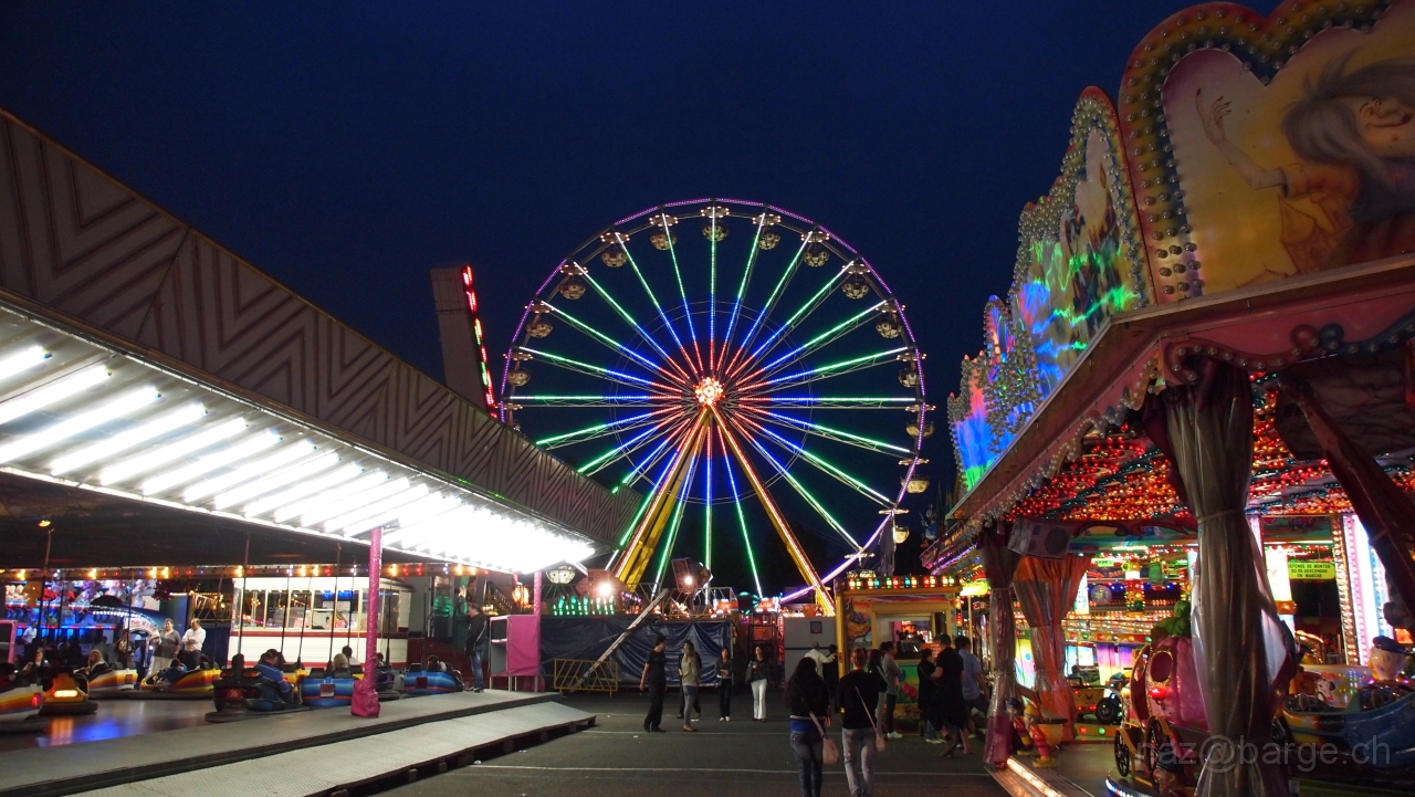 P6120399.JPG - OLYMPUS DIGITAL CAMERA         