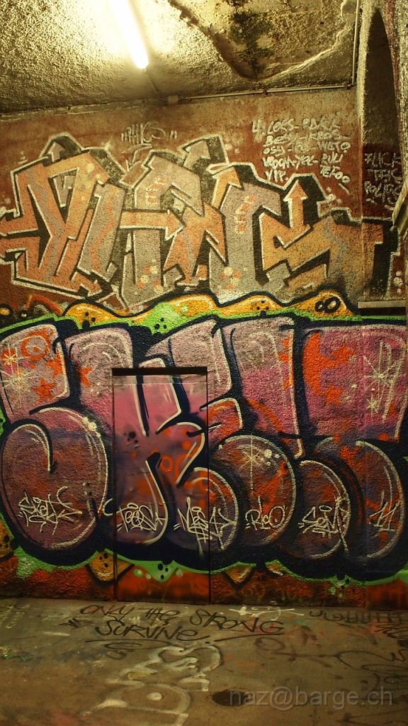 P7110470.JPG - OLYMPUS DIGITAL CAMERA         