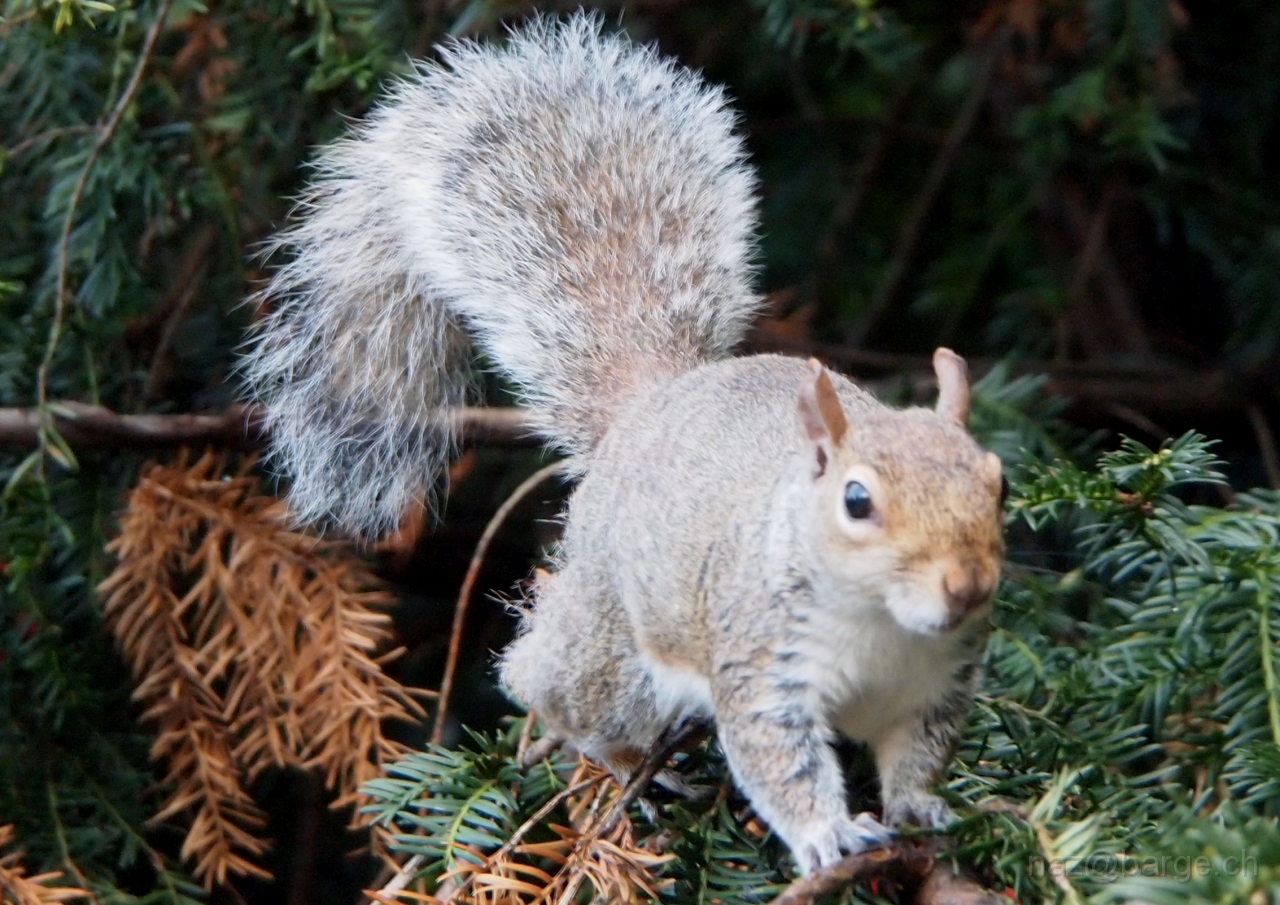 P9040809.JPG - OLYMPUS DIGITAL CAMERA         