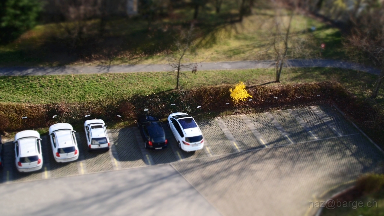 p3290160.JPG - OLYMPUS DIGITAL CAMERA         