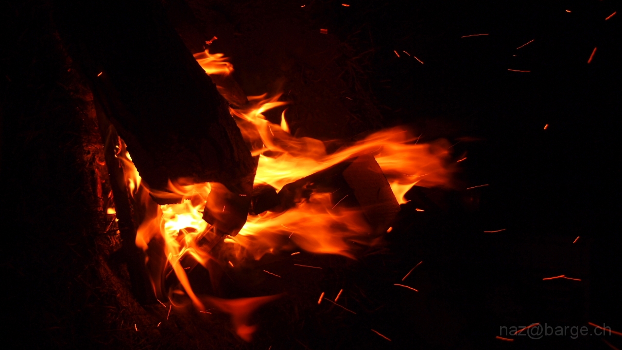 P7180576.JPG - OLYMPUS DIGITAL CAMERA         