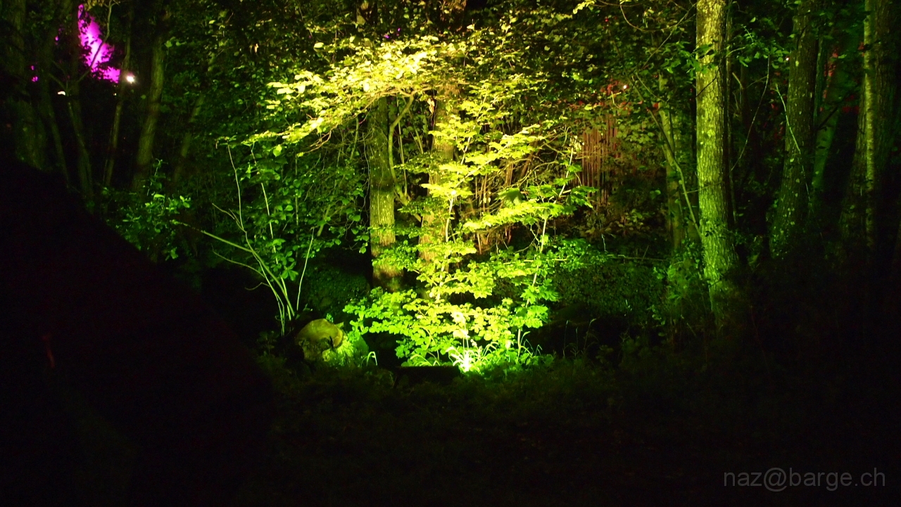 P7190641.JPG - OLYMPUS DIGITAL CAMERA         