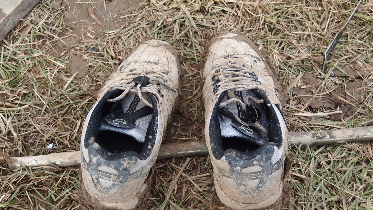 P7210686.JPG - OLYMPUS DIGITAL CAMERA         