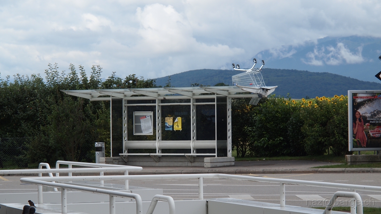 P7220726.JPG - OLYMPUS DIGITAL CAMERA         