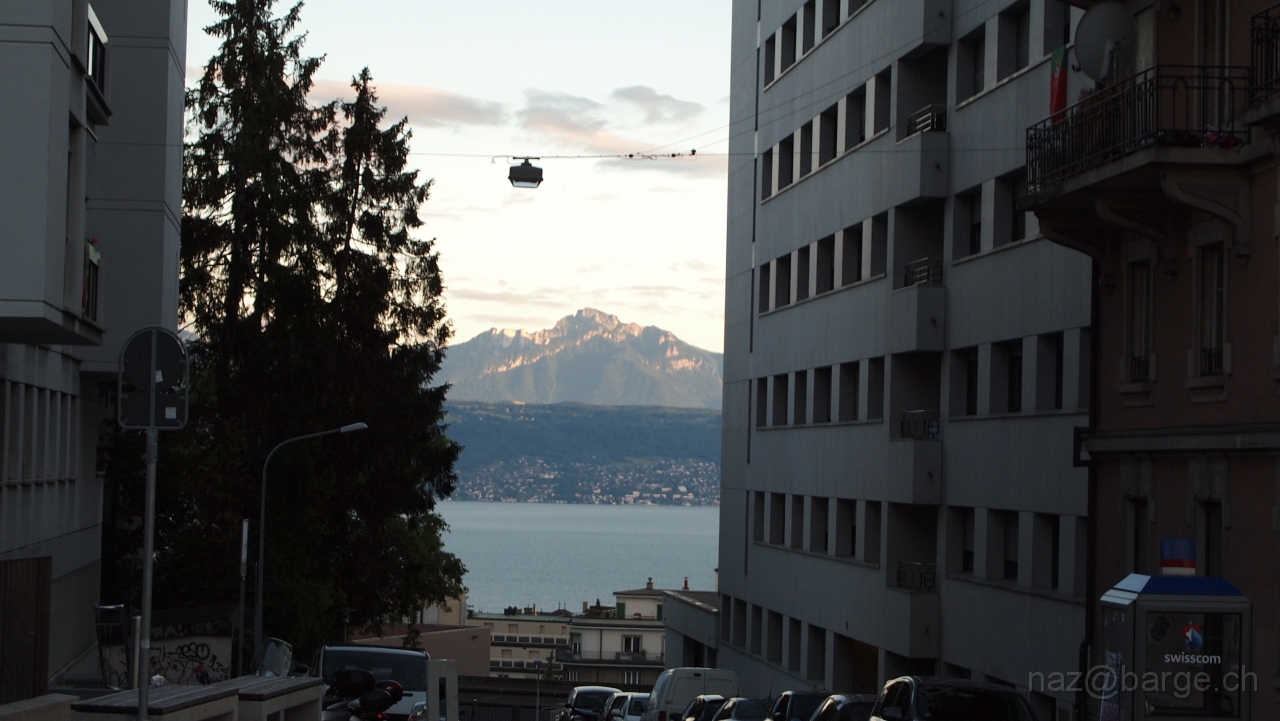 P6131221.jpg - OLYMPUS DIGITAL CAMERA         