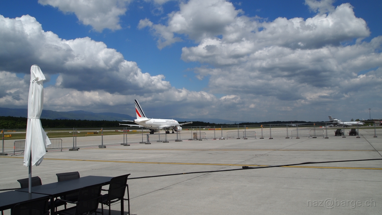 P5151152.JPG - OLYMPUS DIGITAL CAMERA         