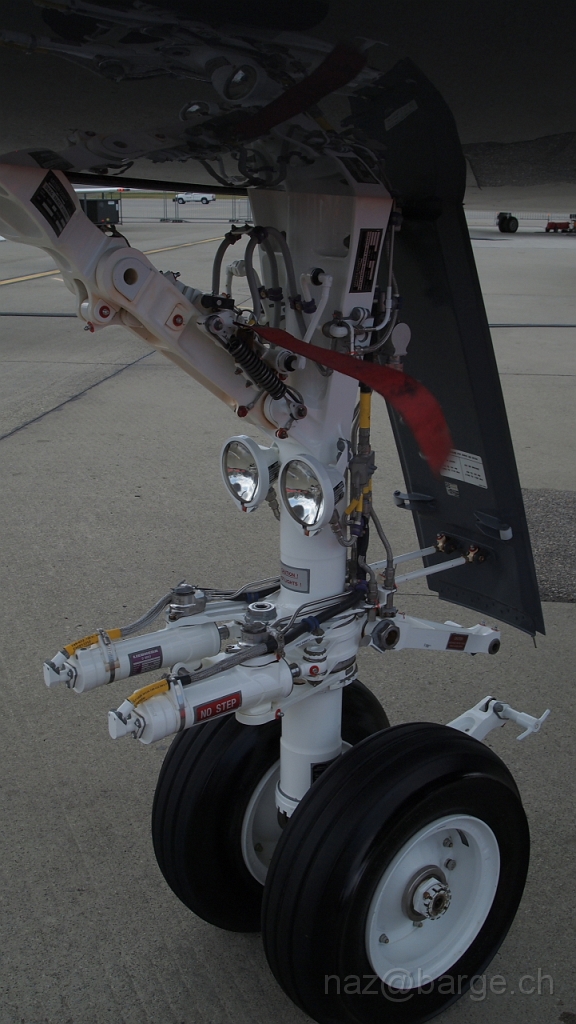 P5151195.JPG - OLYMPUS DIGITAL CAMERA         