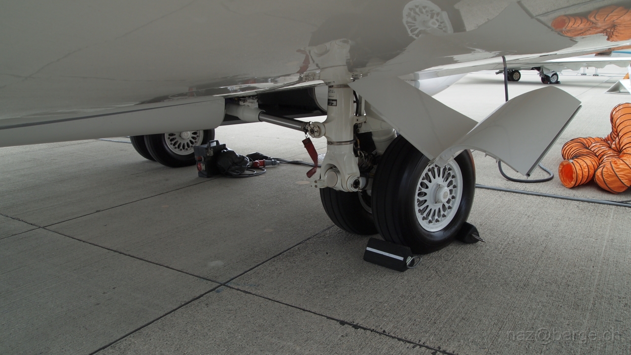 P5151196.JPG - OLYMPUS DIGITAL CAMERA         