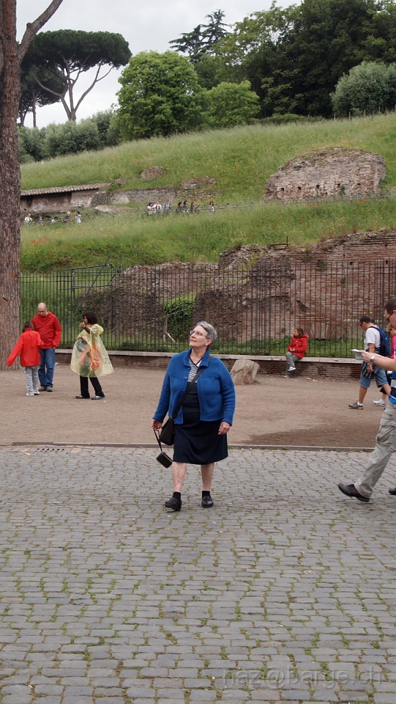 P4301065.JPG - OLYMPUS DIGITAL CAMERA         