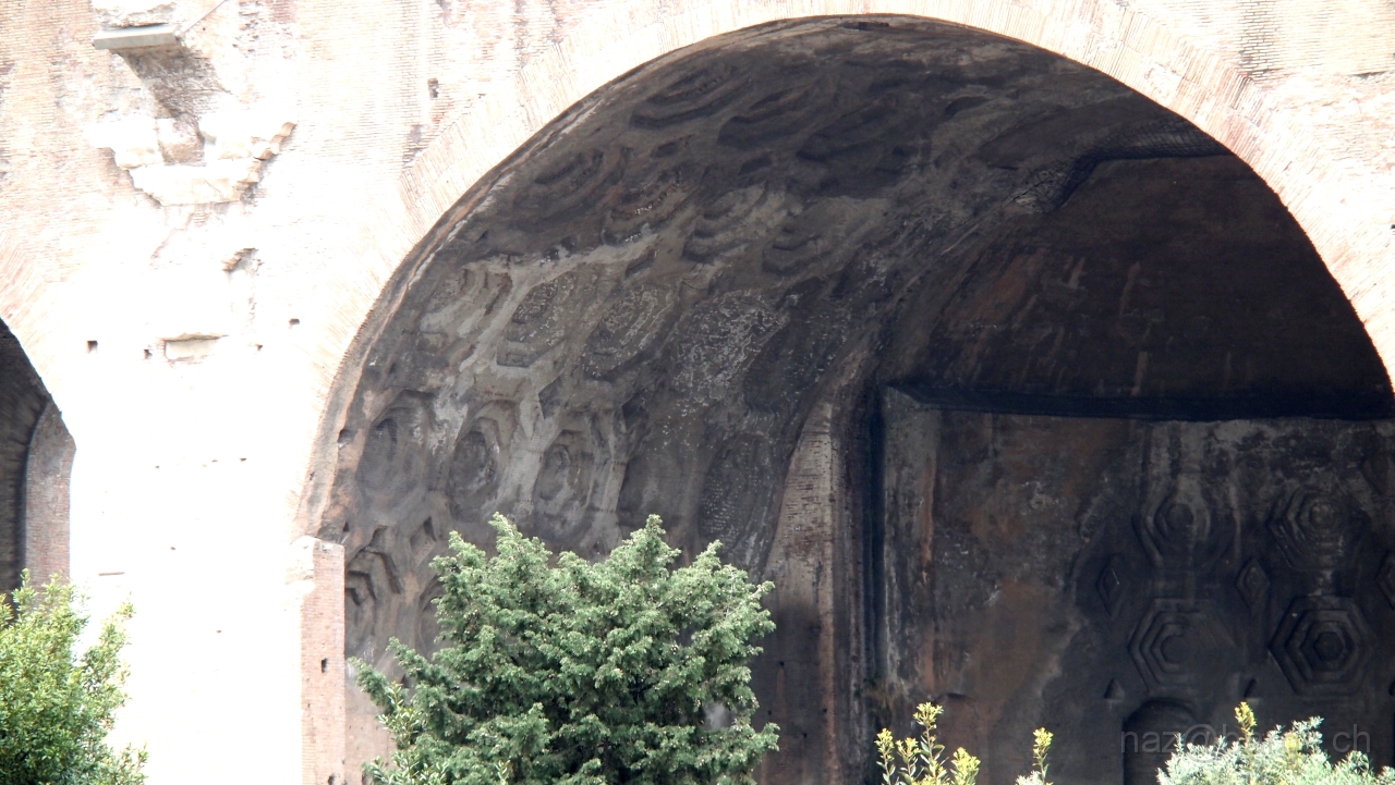 P4301079.JPG - OLYMPUS DIGITAL CAMERA         