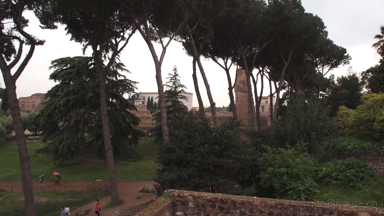 P4301090.JPG - OLYMPUS DIGITAL CAMERA         