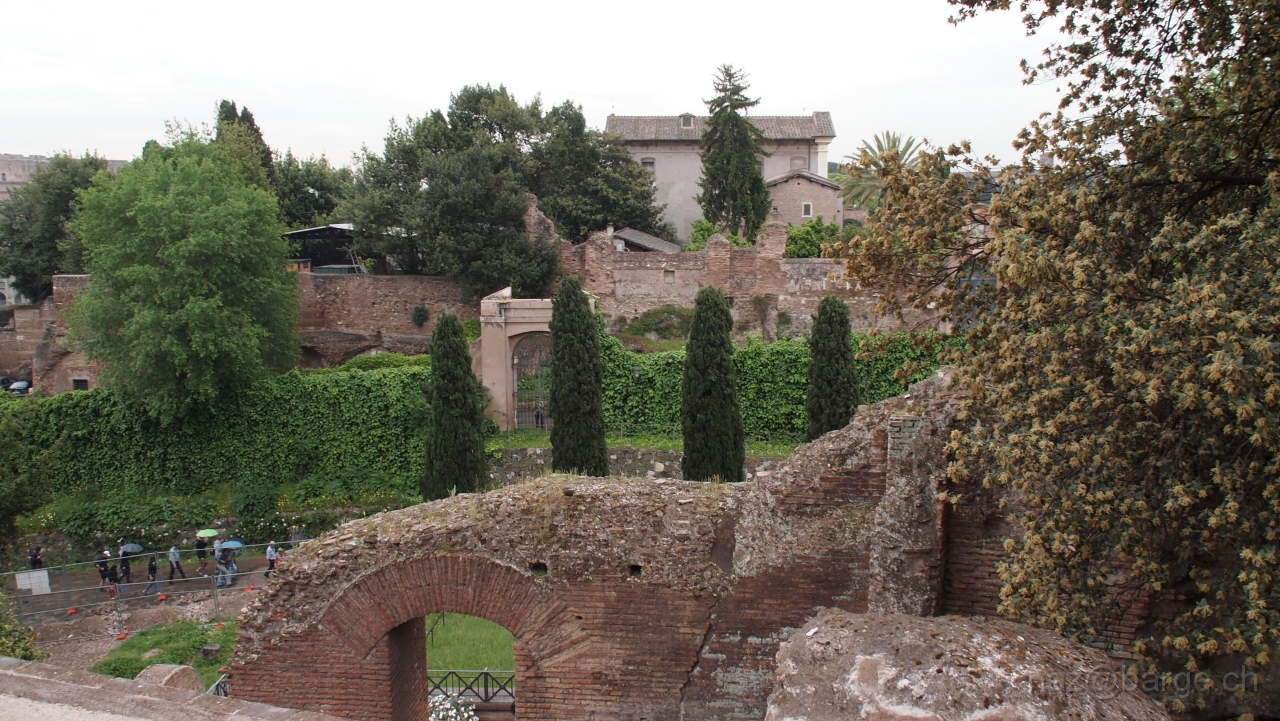 P4301092.JPG - OLYMPUS DIGITAL CAMERA         