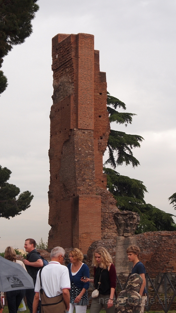 P4301098.JPG - OLYMPUS DIGITAL CAMERA         