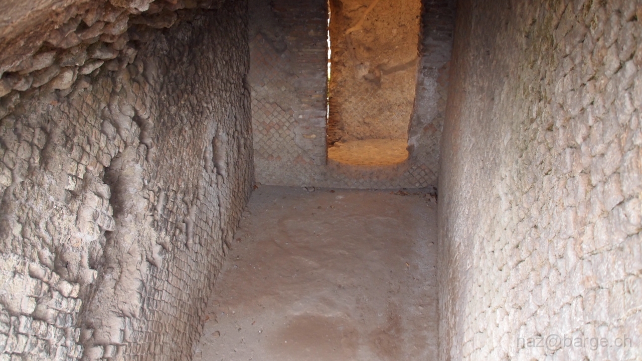 P4301099.JPG - OLYMPUS DIGITAL CAMERA         