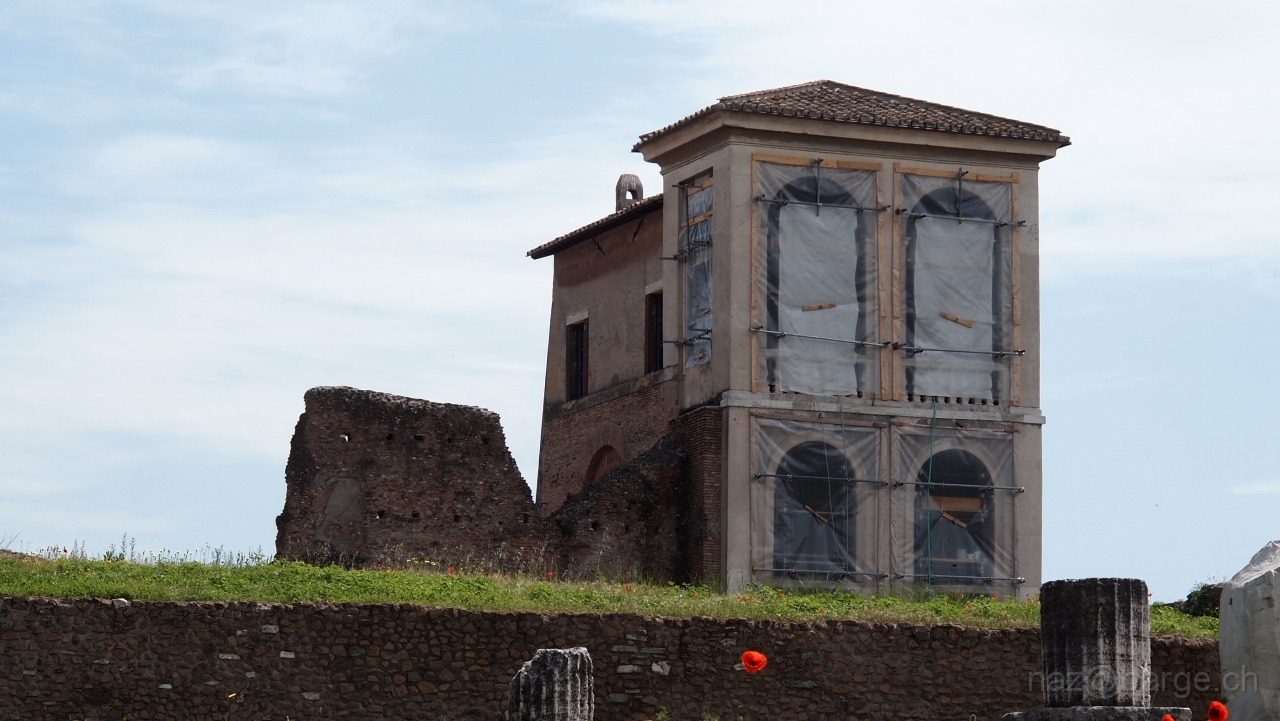 P4301144.JPG - OLYMPUS DIGITAL CAMERA         