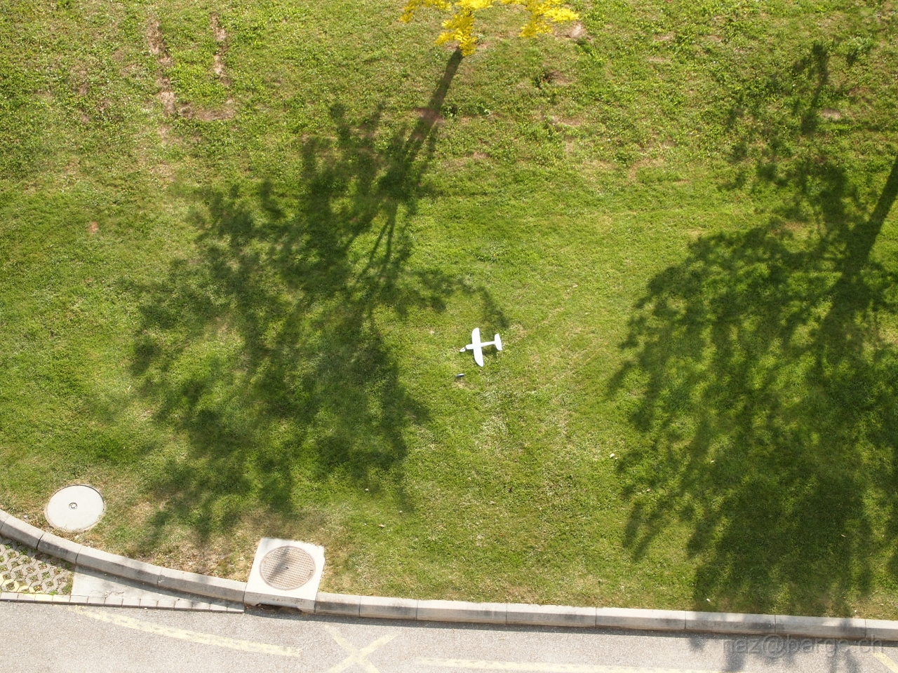 P5181215.JPG - OLYMPUS DIGITAL CAMERA         