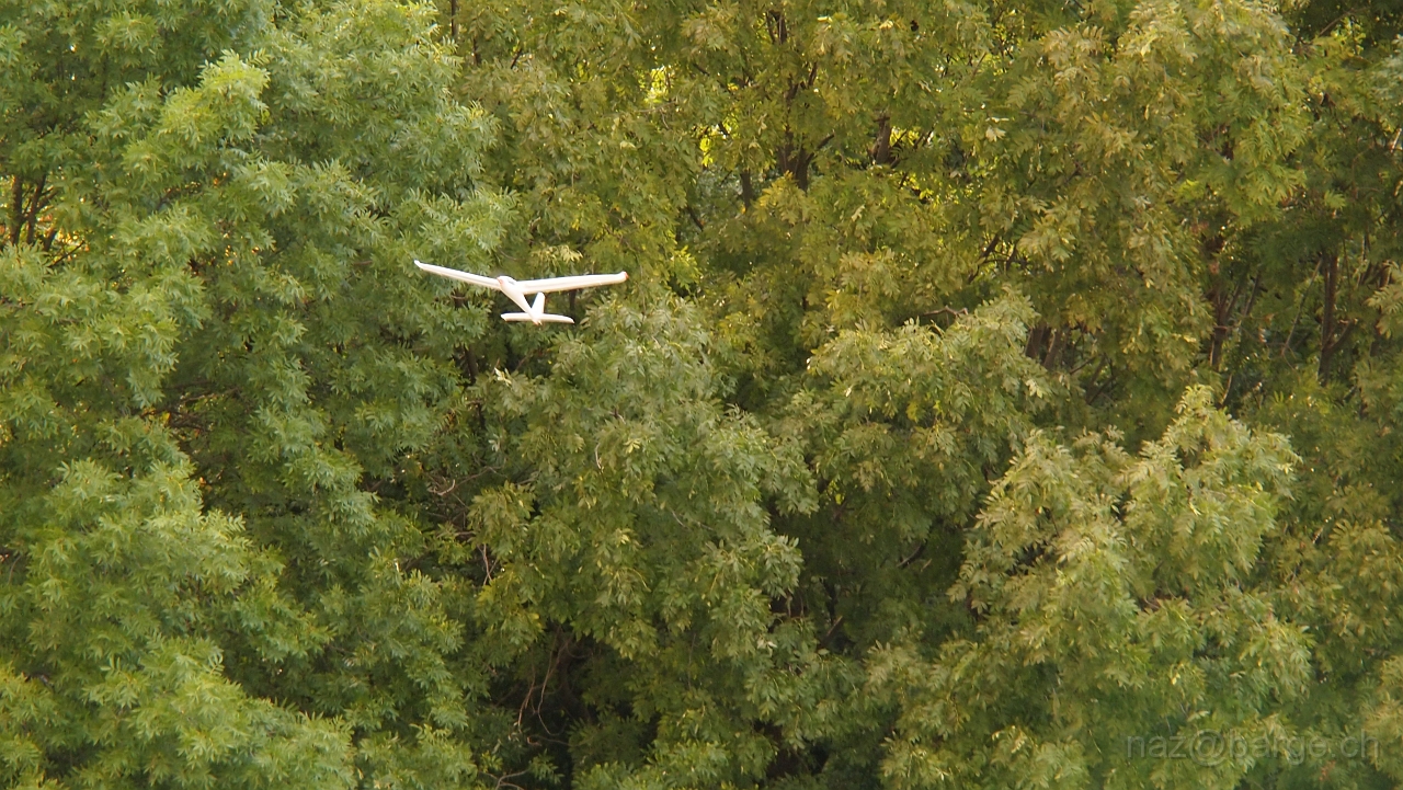 PA070880.JPG - OLYMPUS DIGITAL CAMERA         