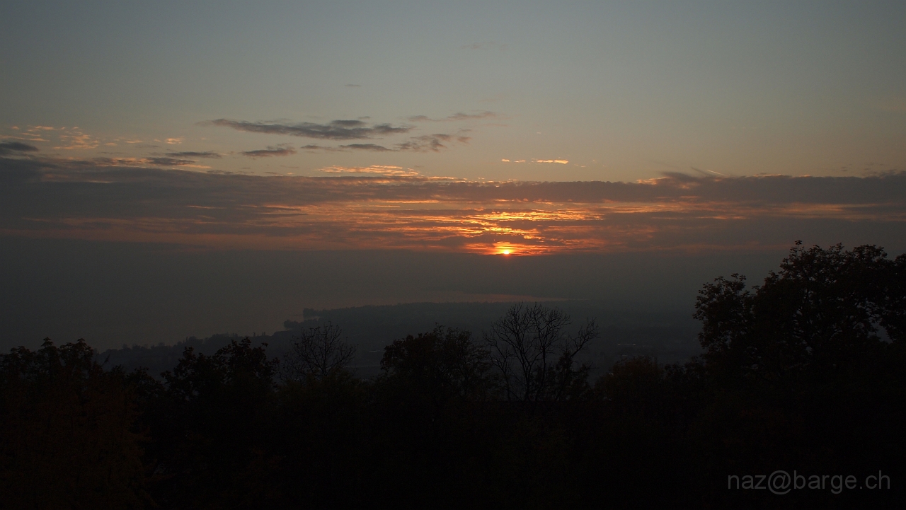 PB020904.JPG - OLYMPUS DIGITAL CAMERA         